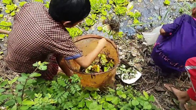 Little Boy Fishing Betta Fish Amazing Boy Catch Betta fish