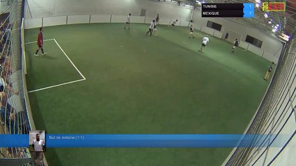 TUNISIE Vs MEXIQUE - 09/07/18 02:20 - PHASE FINALE CDM 2018 - Poitiers Game Parc