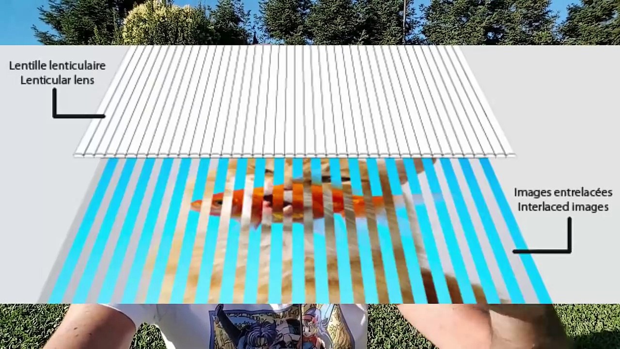 Smartphone 3D Relief SANS Lunettes : Révolutionnaire ! (billet d'humeur)