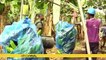 Banana_farming_in_Ivory_Coast_revitalising