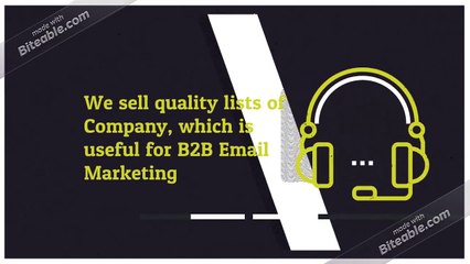 Netherlands Business Email List Providers