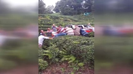 Çay Tarlasına Düşen Aracı Kurtarmak İçin Seferber Oldular