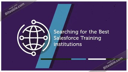 Salesforce Training DEMO