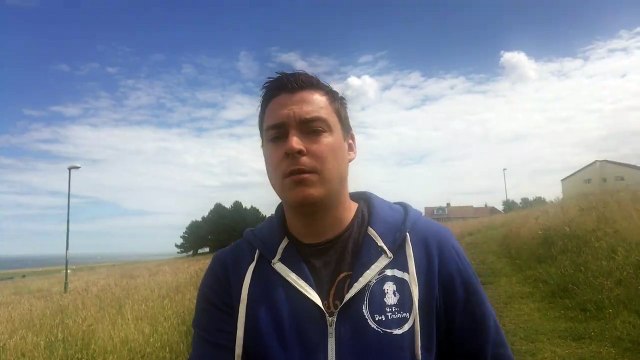 Dog Trainer In Washington - Go For Dog Training