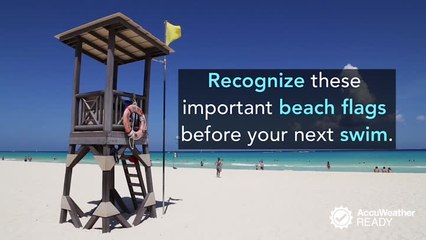 Look out for these important flags on your next beach trip