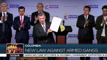 Colombia's New Law to Bring Down Drug Gangs