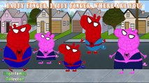  PEPPA PIG  Familia Dedo | Familia dedos en español | Canciones Infantiles | Dibujos Animados