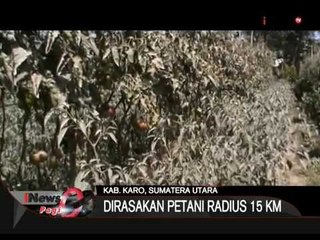 Jarak Luncur Awan Panas 3KM, Abu Sinabung Hujani Perkebunan Warga, Petani Merugi - iNews Pagi 30/06