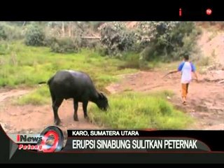 Erupsi Sinabung Sulitkan Peternak - iNews Petang 01/07