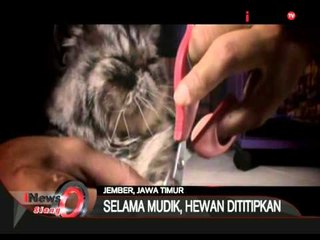 Jasa Penitipan Hewan Kesayangan - iNews Siang 13/07