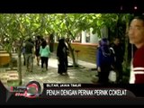 Hanya Ada Pohon Coklat Di Sini, Wisata Unik Kampung Coklat Di Blitar - iNews Siang 20/07