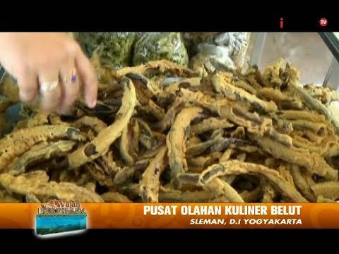 Keripik Belut Khas Jogjakarta Diminati Pemudik, Pusat Kuliner Belut Godean - Wajah Indonesia 27/07