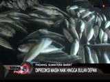 Nelayan Belum Melaut, Harga Ikan Di Padang Naik Hingga 70% - iNews Pagi 27/07