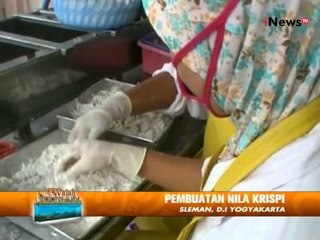 Sensasi Nila Krispi, Tanpa Penyedap Dan Pegawet, Sleman - Wajah Indonesia 27/07