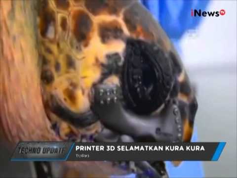 3D Printing Selamatkan Kura-kura Raksasa Yang Kehilangan Rahang - Techno Update 29/07