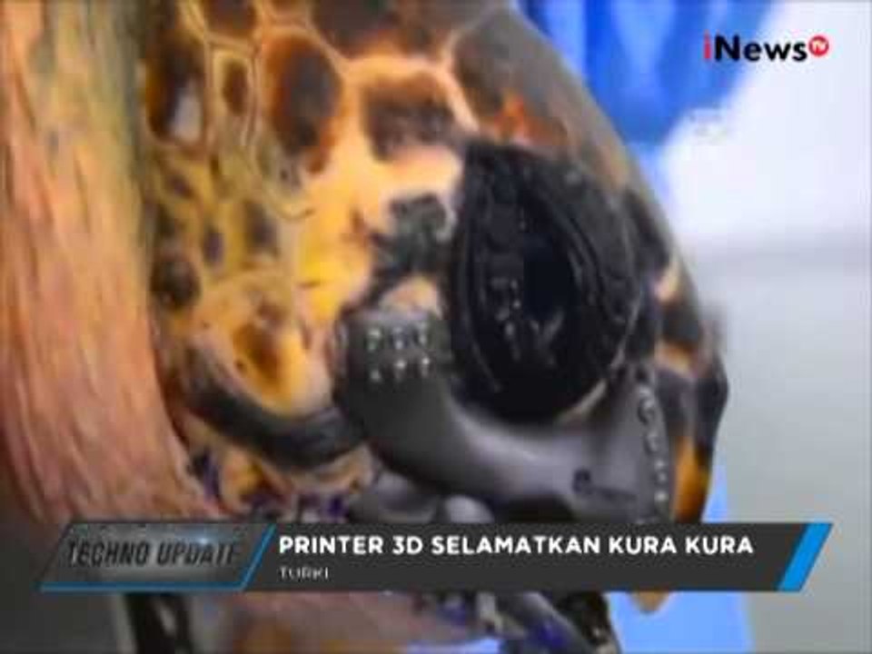 3D Printing Selamatkan Kura-kura Raksasa Yang Kehilangan Rahang - Techno Update 29/07