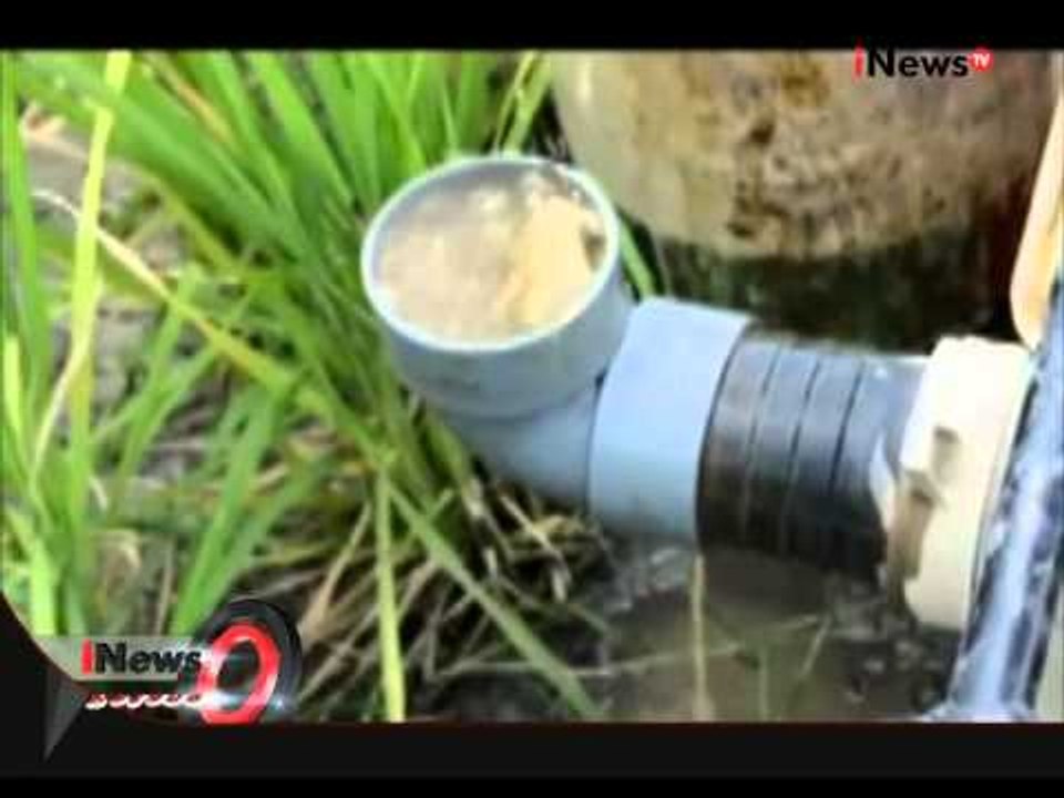 Indonesia Darurat Kekeringan Air, Warga Kesulitan Mengairi sawah - iNews Petang 30/07