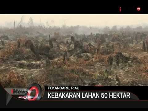 Kebakaran Lahan Gambut Pekanbaru, Riau - iNews Pagi 03/08
