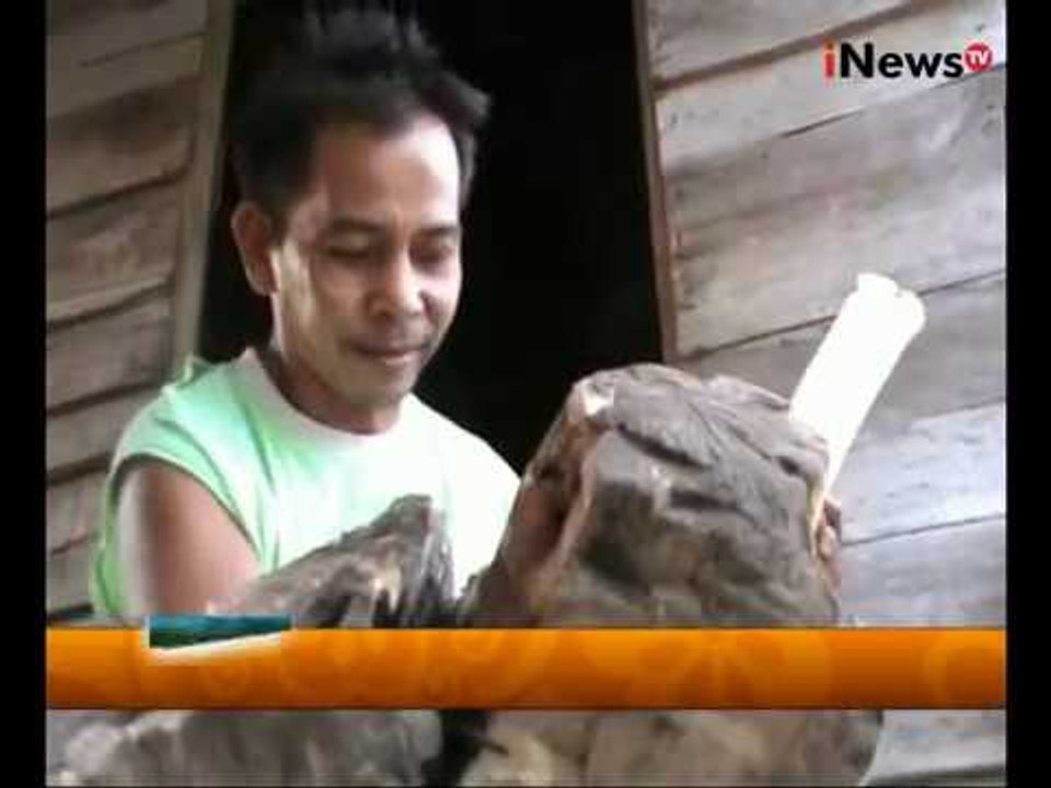 Kerajinan Telok Abang Simbol Perayaan HUT RI Di Palembang - ajah Indonesia 05/08
