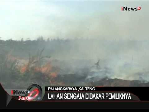 Belasan Lahan Gambut Sengaja Dibakar Pemiliknya - iNews Pagi 06/08