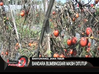 Gawat! Abu Vulkanik Gunung Raung Merusak Lahan Pertanian - iNews Petang 06/08