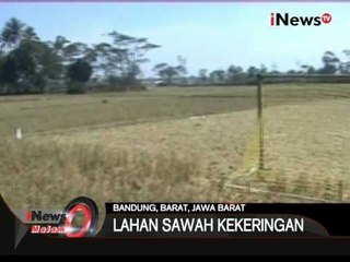 Lahan Sawah Jadi Lapangan Bola - iNews Malam 06/08