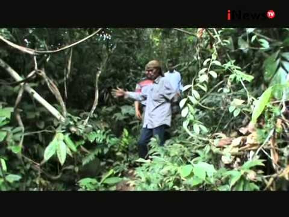 Wakyun Pelopor Penghijauan Hutan Tangkahan, Langkat Sumatra Utara - Wajah Indonesia 10/08