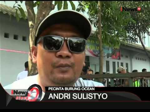 Lomba Kicauan Burung, Banjarnegara, Jateng - iNews Siang 10/08