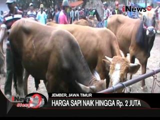 Stok Sapi Cukup Di Pasar - iNews Siang 14/08