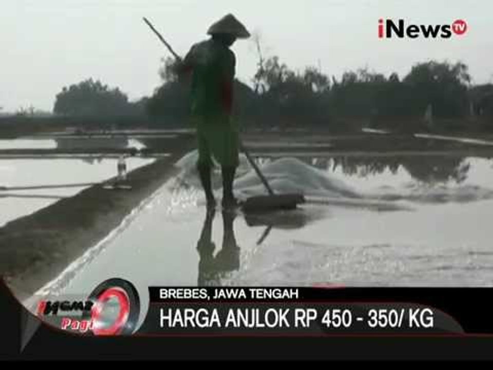 Tambak Ikan Beralih Fungsi Jadi Ladang Garam - iNews Pagi 17/08
