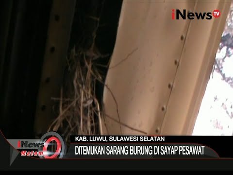 Aneh !!! Ditemukan Sarang Burung Di Sayap Pesawat Aviastar - iNews Malam 07/10