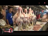 Pemerintah Menjamin Harga Daging Ayam Normal Pekan Depan - iNews Malam 19/08