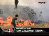 5 Hektar Hutan Jati Terbakar, Petugas Kesulitan Memadamkan Api - iNews Malam 23/08
