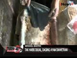 Pedagang Ayam Potong Bekukan Daging Ayam Yang Tak Habis Terjual - iNews Malam 23/08