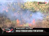 Kebakaran Lahan Gambut Karena Terik Matahari Di Probolinggo - iNews Pagi 07/09