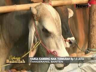 Harga Hewan Kurban Melonjak - iNews Pagi 07/09
