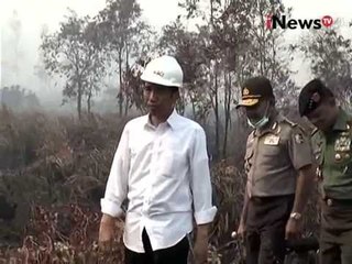 Bencana Kabut Asap Kebakaran Hutan Jadi Rutinitas Tahunan  - iNews Siang 07/09