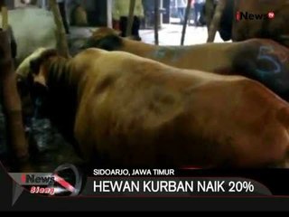 Jelang Idul Adha, Polisi Kuak Praktek Sapi Glonggongan Di Sidoharjo, Jatim - iNews Siang 14/09