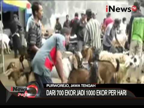 Harga Kambing Alami Kenaikan Jelang Idul Adha - iNews Pagi 15/09