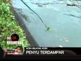Nusantara 90 Detik - iNews Malam 13/09