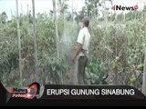 Gunung Sinabung Kembali Erupsi, Para Petani Khawatir Gagal Panen - iNews Petang 16/09