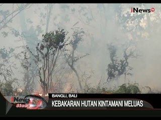 Kebakaran Hutan Meluas Di Hutan Kintamani, Bangli, Bali -  iNews Siang 18/09