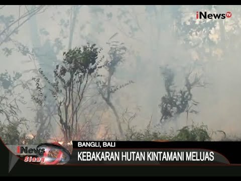 Kebakaran Hutan Meluas Di Hutan Kintamani, Bangli, Bali - iNews Siang 18/09