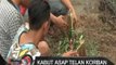 Korban Yang Meninggal Dampak Kabut Asap Telah Dikonfirmasi Di Sampit, Kalteng - iNews Malam 17/09