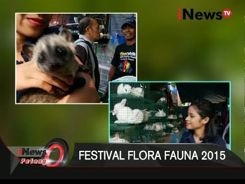Festival Flora Fauna 2015 - iNews Petang 21/09