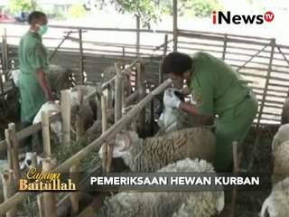 Petugas Periksa Kelayakan Hewan Kurban Di Magelang, Jateng - iNews Pagi 22/09