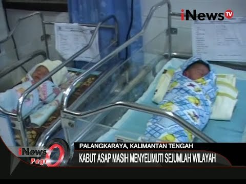 Dampak Kabut Asap, Belasan Bayi Jalani Perawatan Khusus - iNews Pagi 24/09