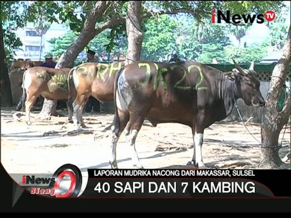 Live Report: Pemotong Hewan Kurban Di Makassar, Sulsel - iNews Siang 24/09