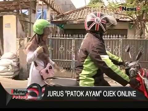 Seperti Inilah Jurus Patok Ayam Ala Ojek Online - iNews Petang 29/09