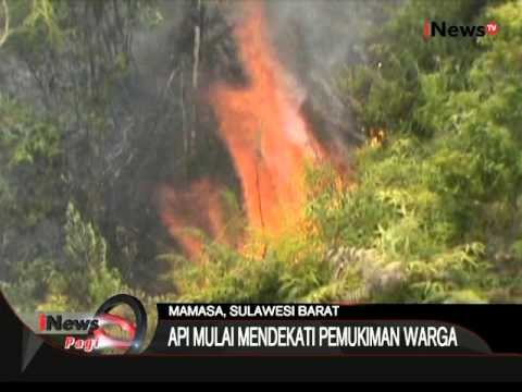 Ratusan Hektar Lahan Pinus Ludes Terbakar Di Mamasa, Sulbar - iNews Pagi 02/10